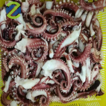 Frozen octopus tentacle with high quality and good price